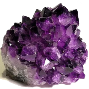 Test Item 3